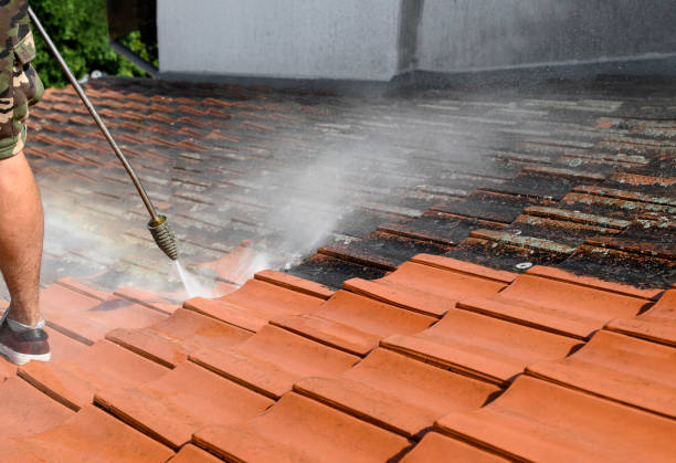 Best Pressure Washing Services Near Me  in Green Valley, AZ