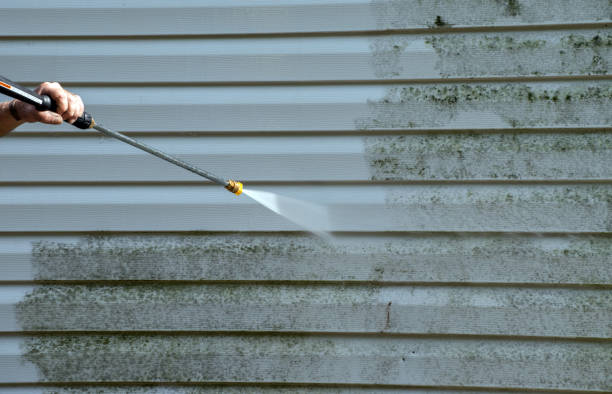 Best Local Pressure Washing Services  in Green Valley, AZ