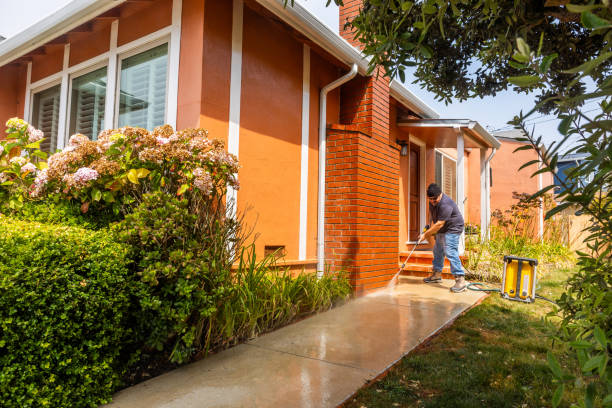 Best Exterior Home Cleaning  in Green Valley, AZ