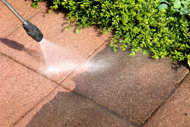 Best Pressure Washing Contractors  in Green Valley, AZ